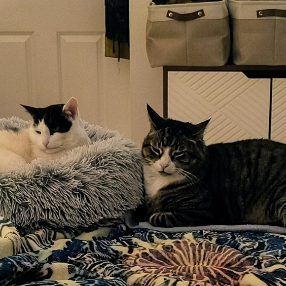 Meet your Posher, Kim - Picture 7 of 9